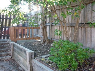 Backyard (2016-02-02)