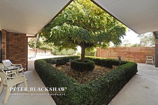 Front Yard (2014-05-05)