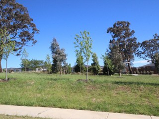 Parkland opposite (2016-11-18)