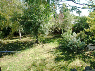 Rear yard (2006-04-26)