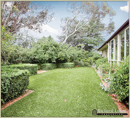 Backgarden (2010-12-09)