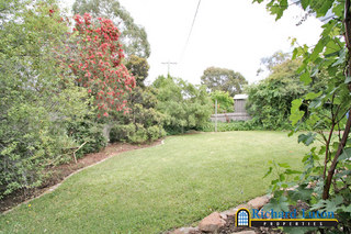 Backyard (2005-11-25)
