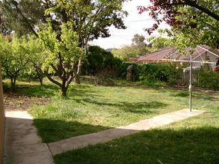Rear yard (2003-10-30)