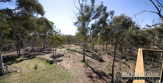 View (2008-09-25)