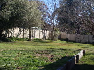 Back yard (2011-04-29)