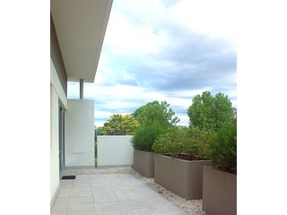Rear Terrace - Br 1 End (2013-02-04)