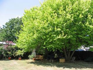 Backyard (2004-02-03)