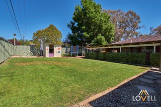 Rear Garden (2017-11-08)