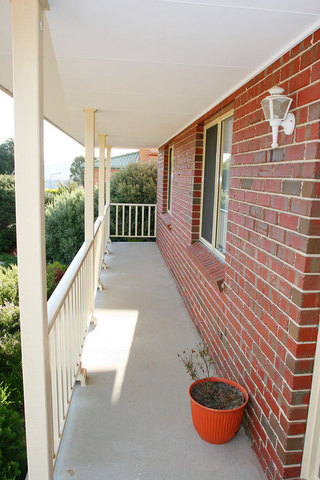 Patio (2007-08-25)