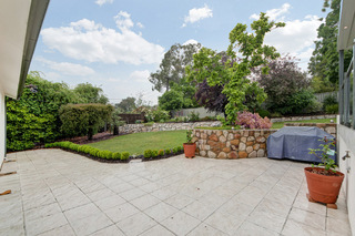 Rear Garden (2011-11-10)