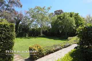 Front gardens (2012-10-18)