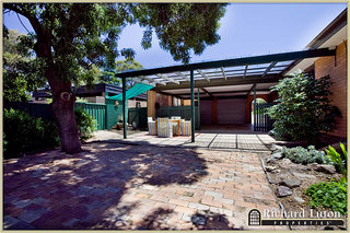 Paved Area (2010-12-23)