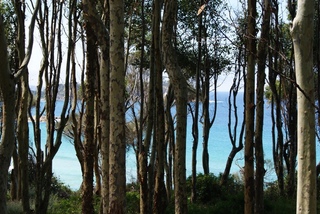 View (2011-02-08)