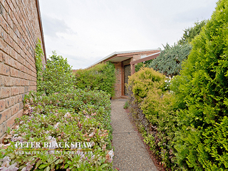 Established Garden (2011-11-10)
