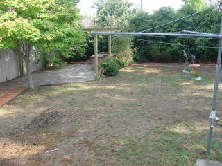 Backyard (2007-01-19)