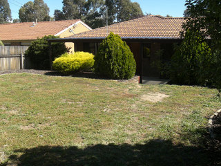 Backyard (2008-04-09)