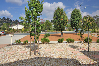 View to street (2009-07-16)