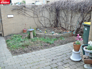 Frontyard (2011-08-03)
