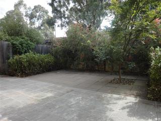 Yard (2011-03-30)
