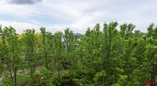 Standard Photo (2018-11-05)