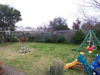 Backyard (2008-06-19)