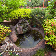 A Water Feature (2014-10-29)