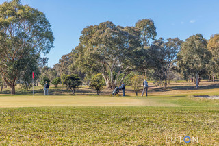 Backing onto the 8th green (2019-07-04)