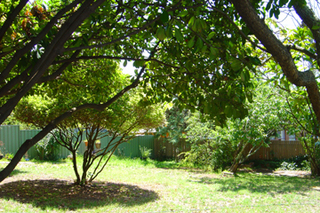 Back Yard (2005-02-25)