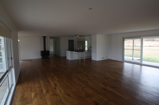 Standard Photo (2011-09-12)