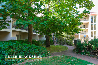 Garden view (2015-03-26)
