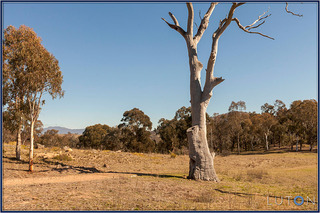 Reserve Behind (2014-09-16)