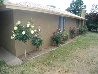 Front Side (2003-11-21)