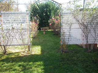 Rear garden (2003-06-12)