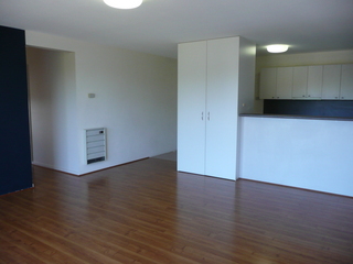Living Room (2011-04-04)