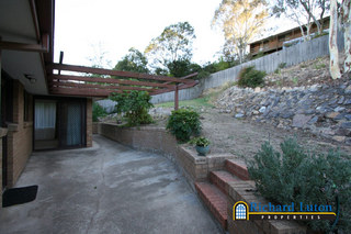 Backyard (2006-03-17)