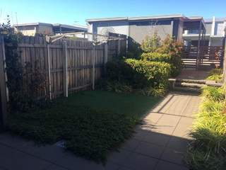 Backyard (2017-07-03)