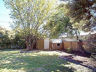 Rear garden (2003-11-07)