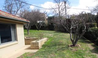 Side Garden (2010-08-26)