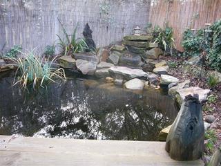 Pond (2006-07-25)