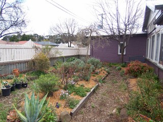 Frontyard (2008-09-19)