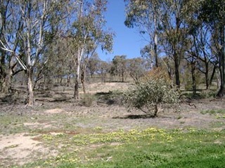 reserve (2003-10-03)