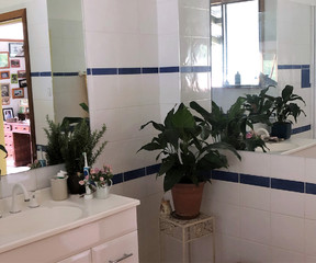 (2019-04-10)