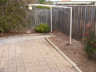 Backyard (2012-02-27)