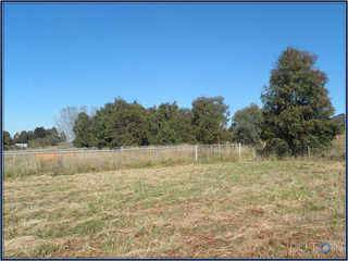 Yards and Shelter Belt (2013-06-28)