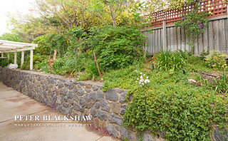 Garden (2014-10-15)