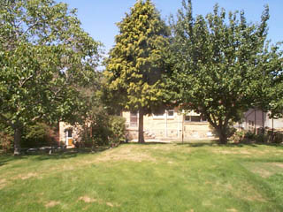 Garden (2002-12-20)