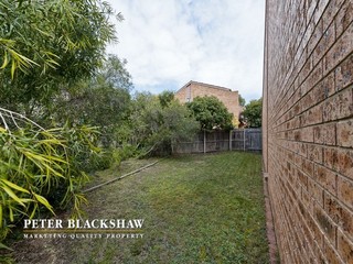 Side yard (2011-08-09)
