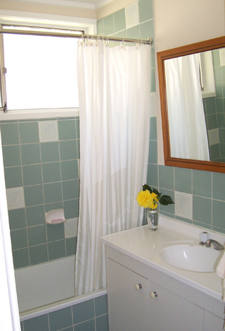 Bathroom (2005-11-03)