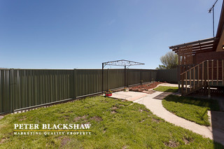 Backyard (2013-10-01)