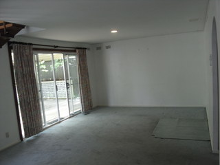Living & family room (2009-12-23)